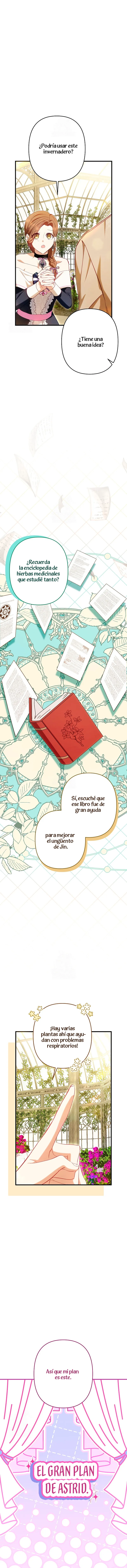 16 El Médico Charlatán De Los Rebeldes