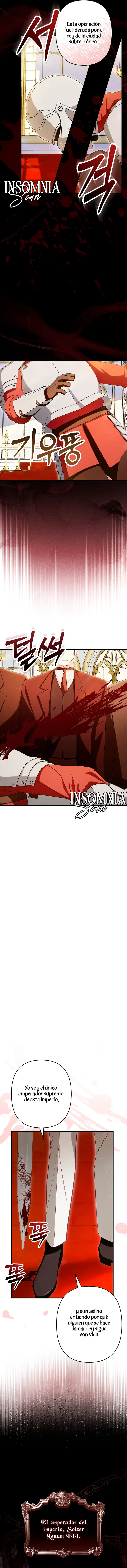 17 El Médico Charlatán De Los Rebeldes