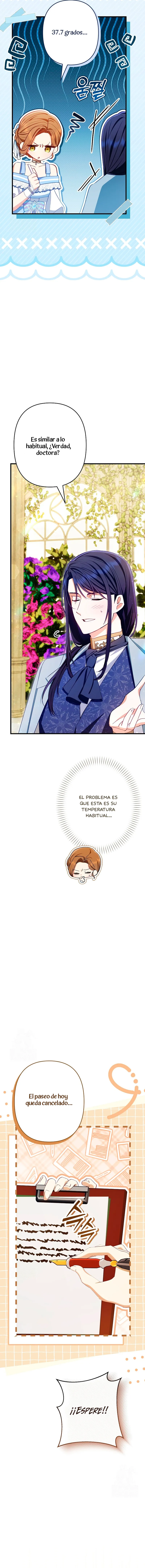 8 El Médico Charlatán De Los Rebeldes