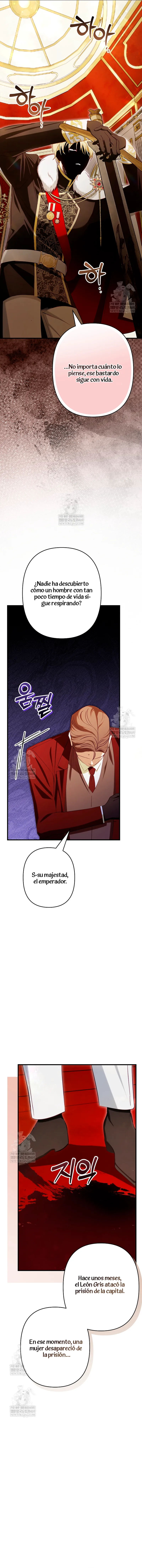 8 El Médico Charlatán De Los Rebeldes