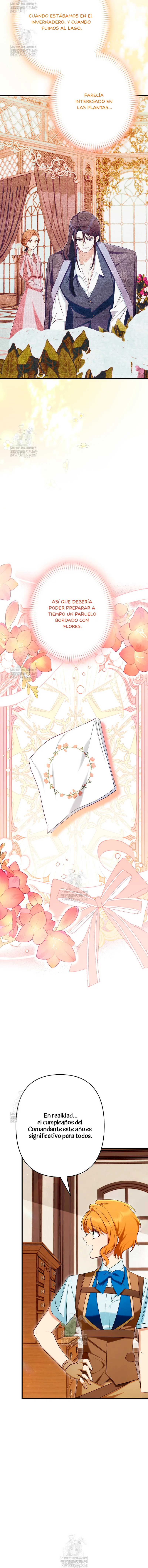 13 El Médico Charlatán De Los Rebeldes