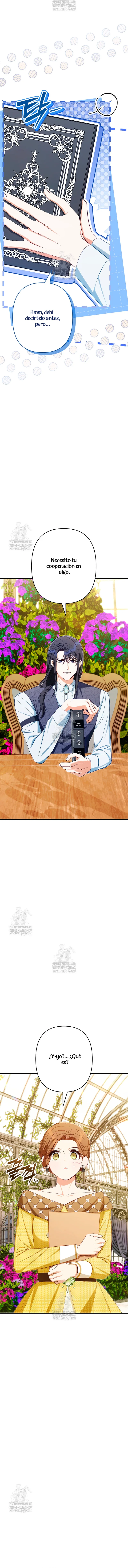 8 El Médico Charlatán De Los Rebeldes