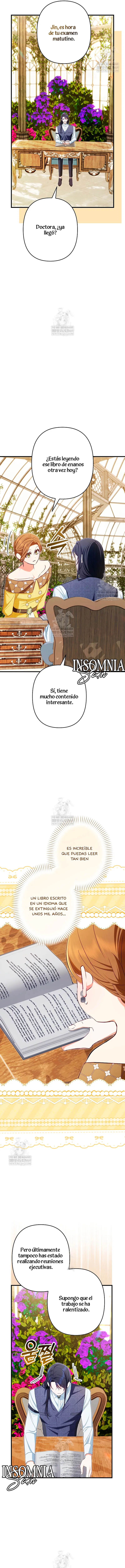 7 El Médico Charlatán De Los Rebeldes