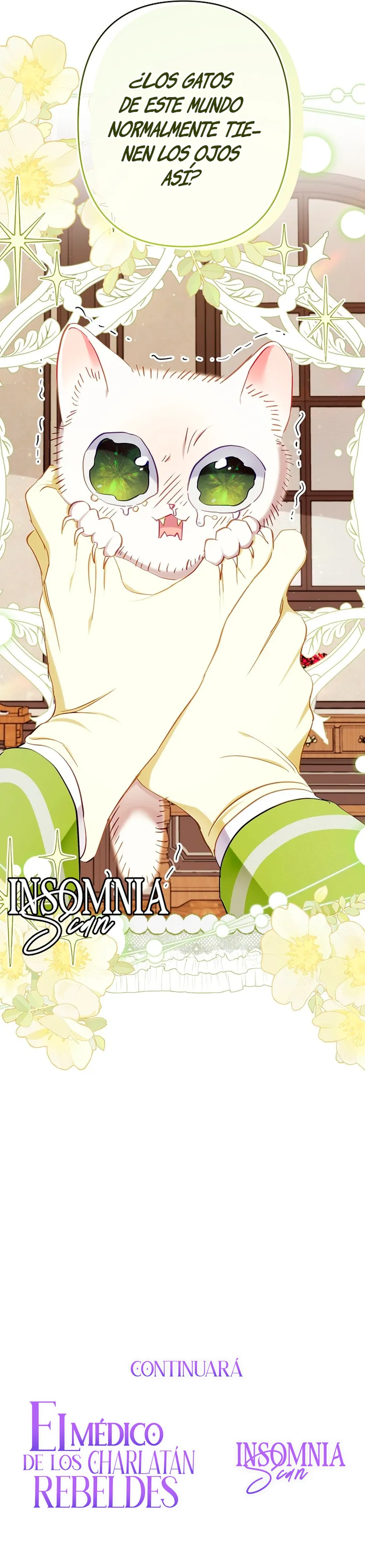 17 El Médico Charlatán De Los Rebeldes