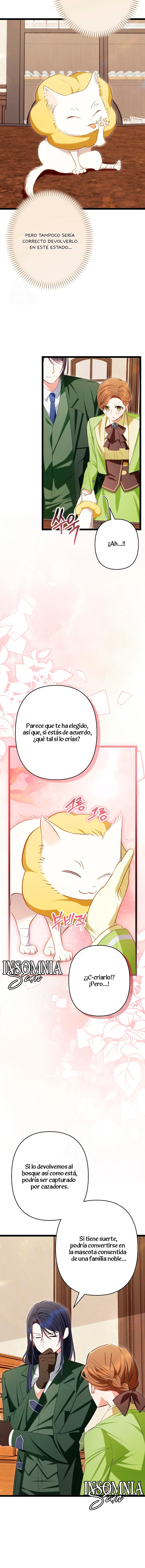 3 El Médico Charlatán De Los Rebeldes