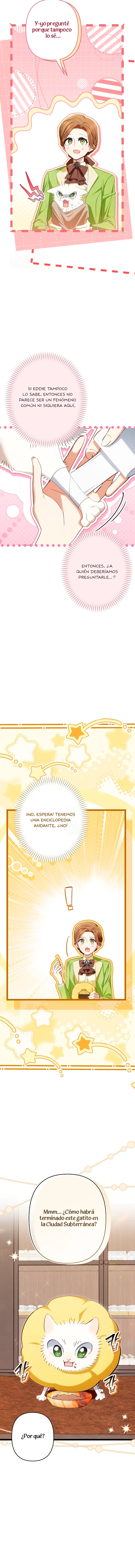 1 El Médico Charlatán De Los Rebeldes