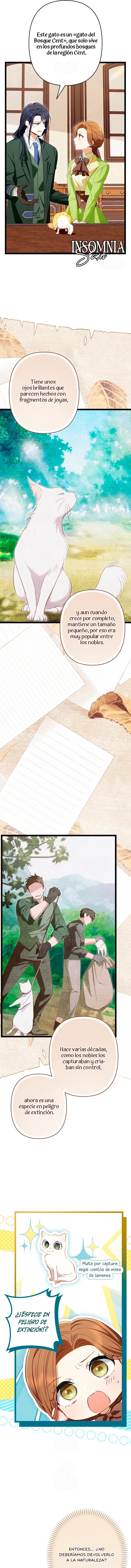 2 El Médico Charlatán De Los Rebeldes