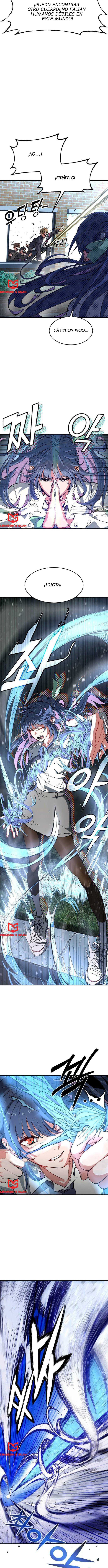 18 Agencia de curación