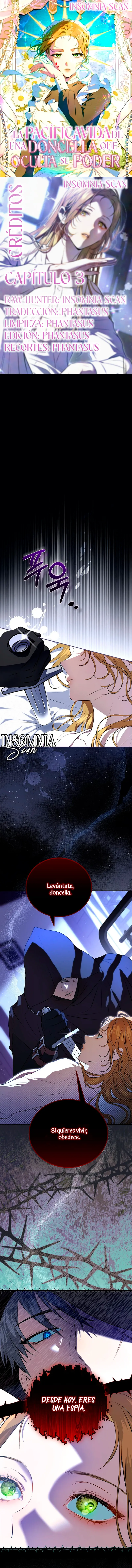 0 La Pacífica Vida De Una Doncella Que Oculta Su Poder