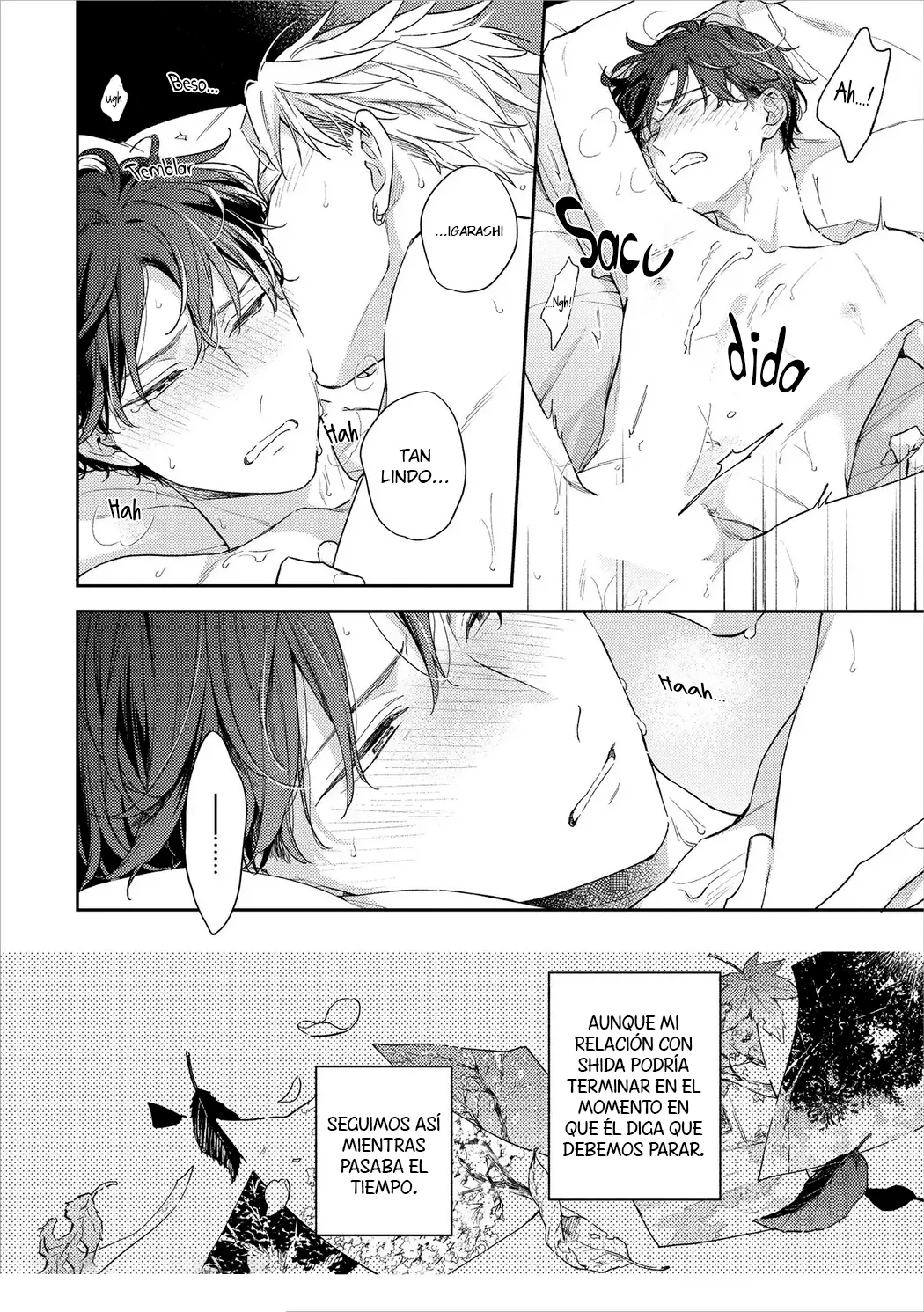 10 Corazón Otoñal Indeciso