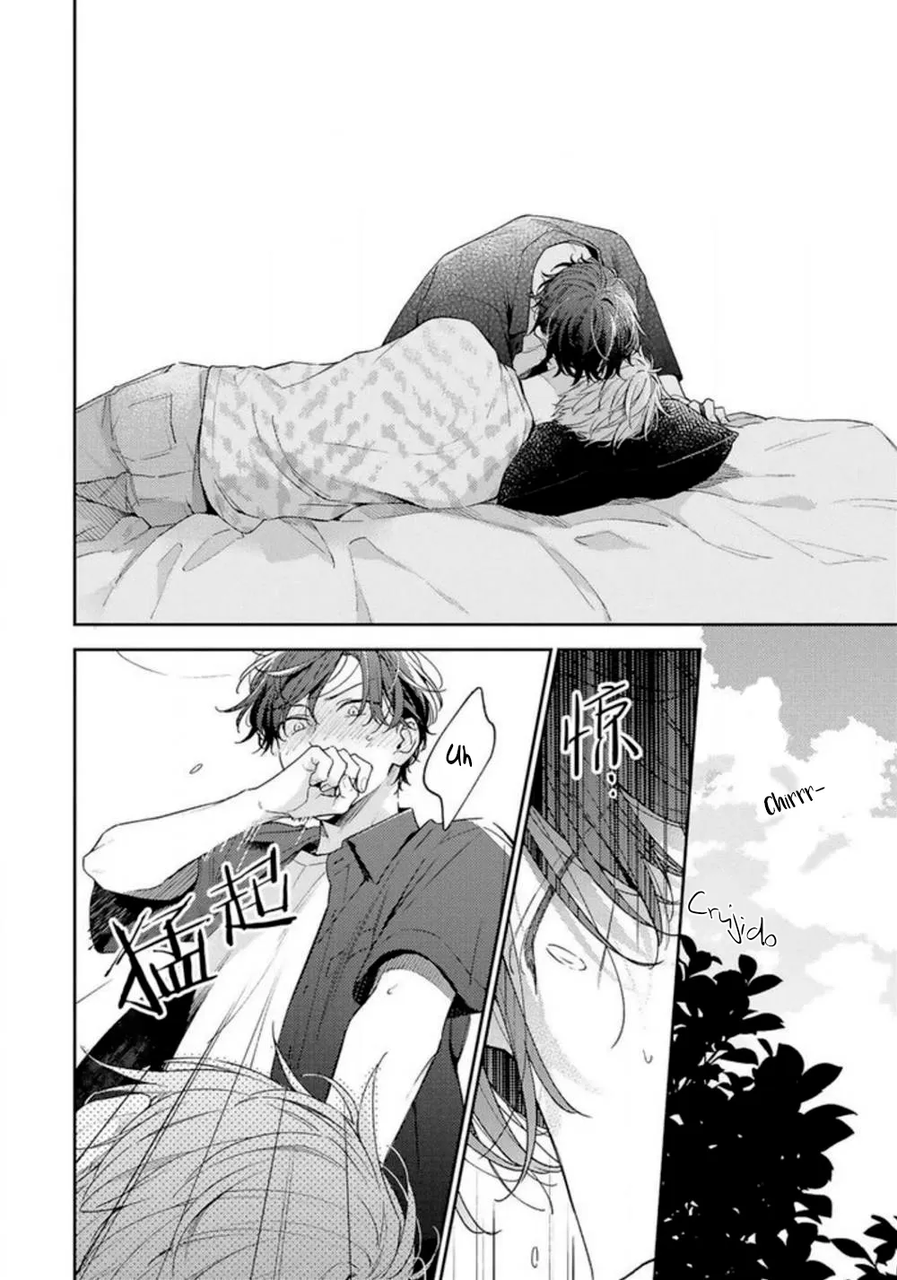 14 Corazón Otoñal Indeciso