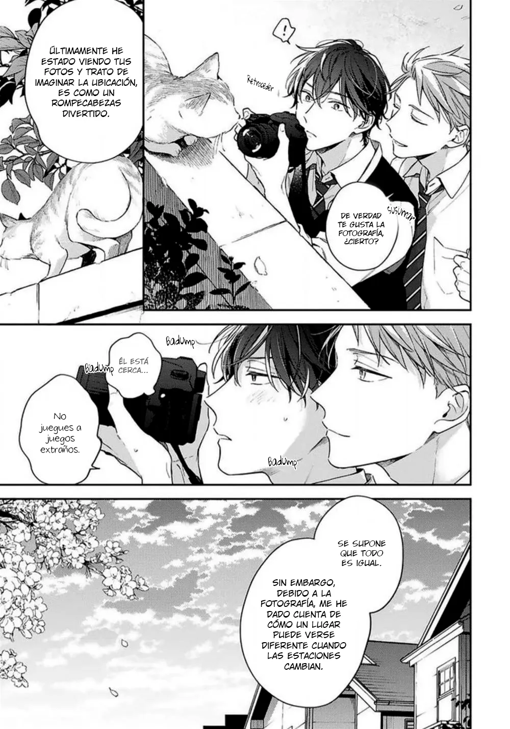 31 Corazón Otoñal Indeciso