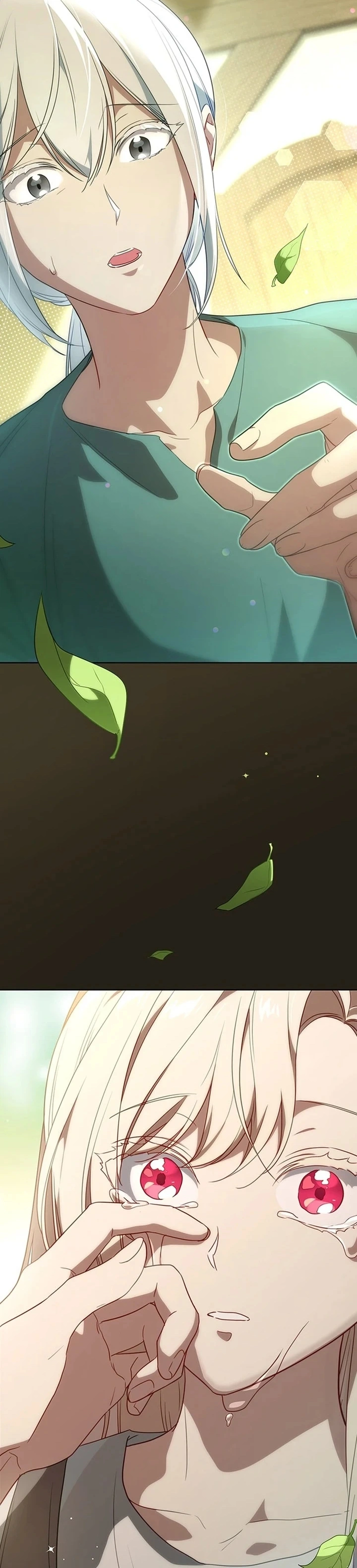 27 El precio a pagar será su todo