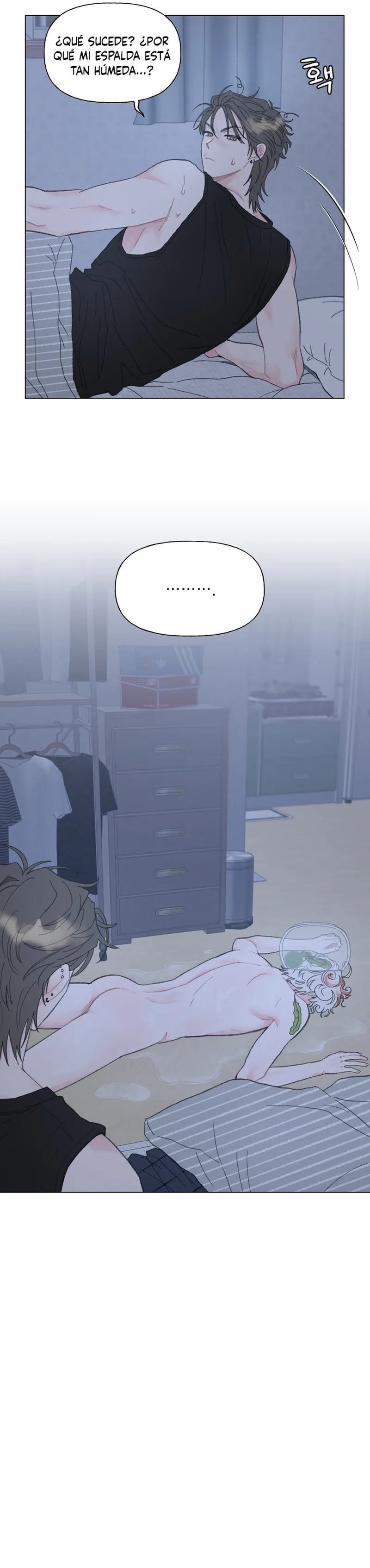 10 La encantadora oranda