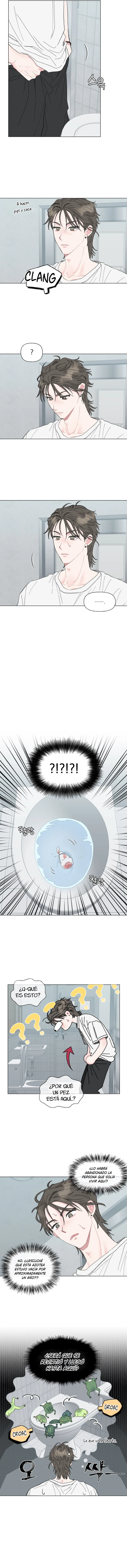 2 La encantadora oranda