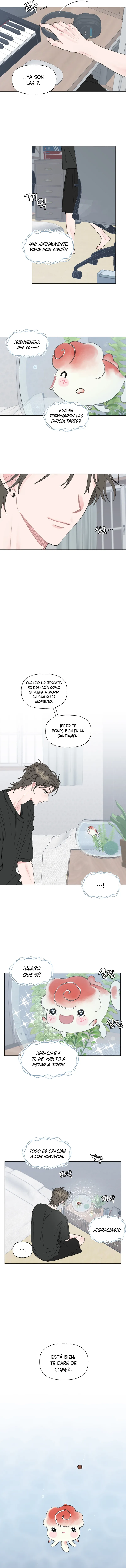 7 La encantadora oranda