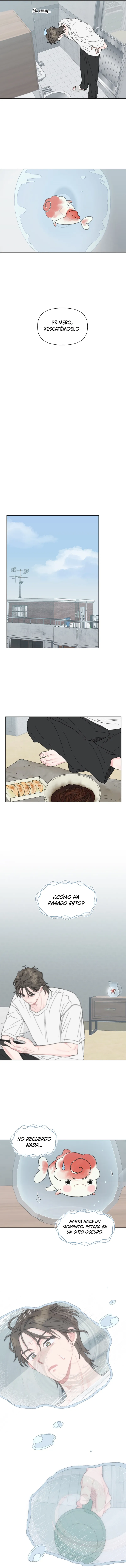 3 La encantadora oranda