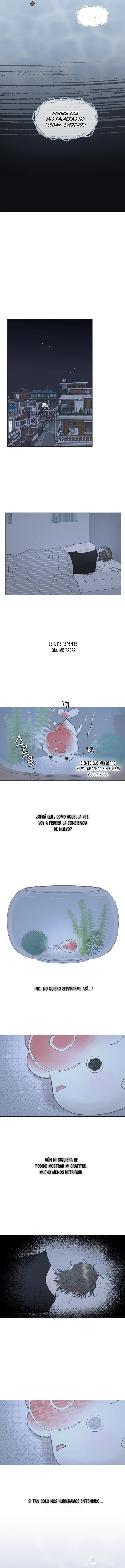 8 La encantadora oranda