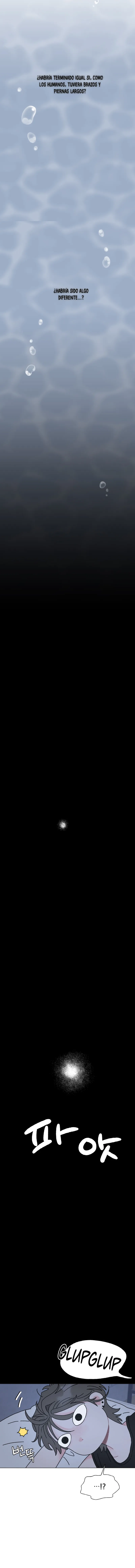 9 La encantadora oranda