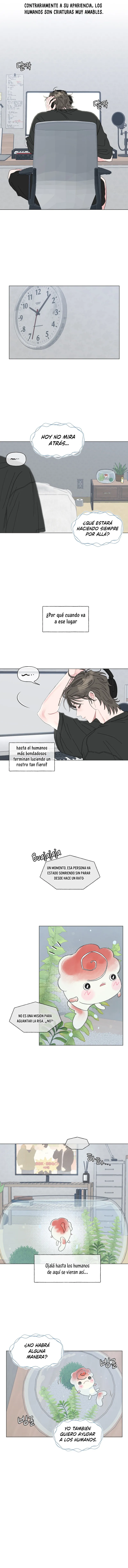 6 La encantadora oranda