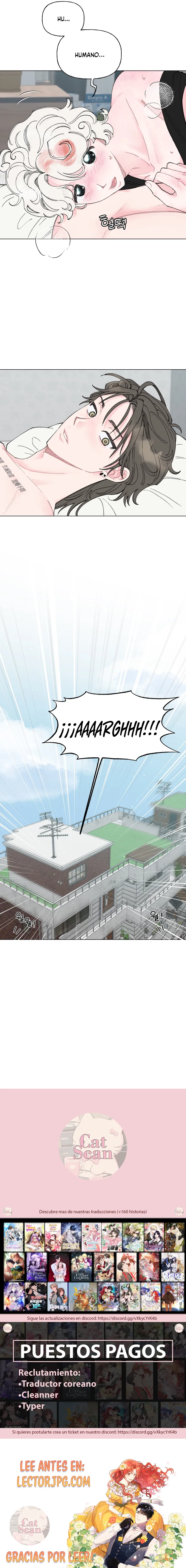 5 La encantadora oranda