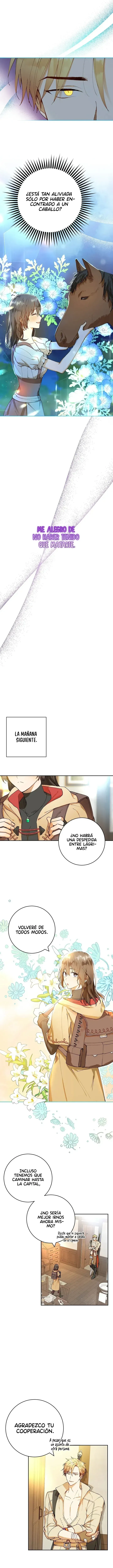 7 Amor Individualista