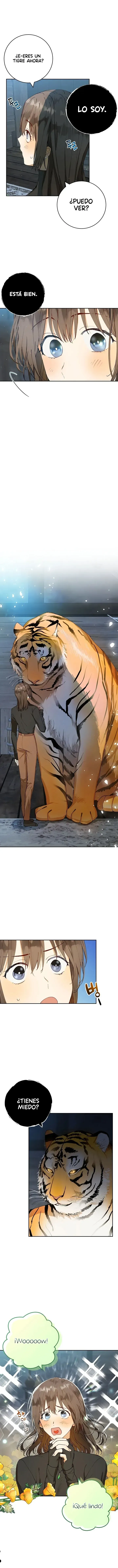 6 Amor Individualista