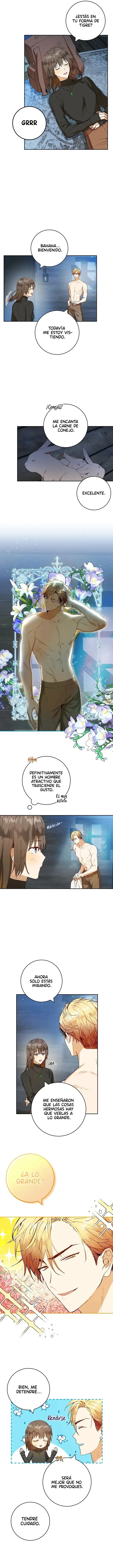 3 Amor Individualista