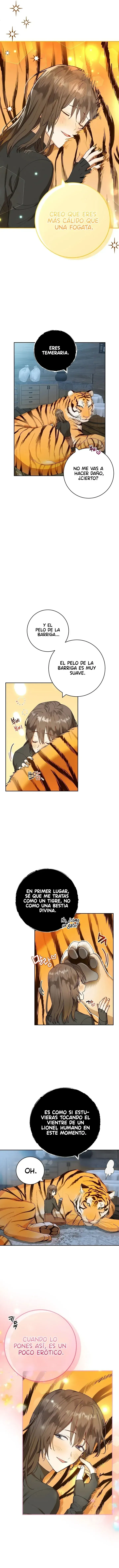 8 Amor Individualista