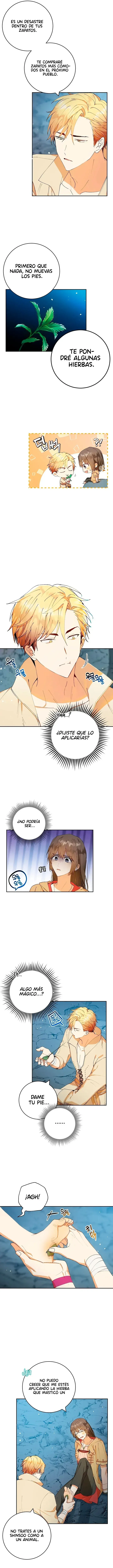 7 Amor Individualista