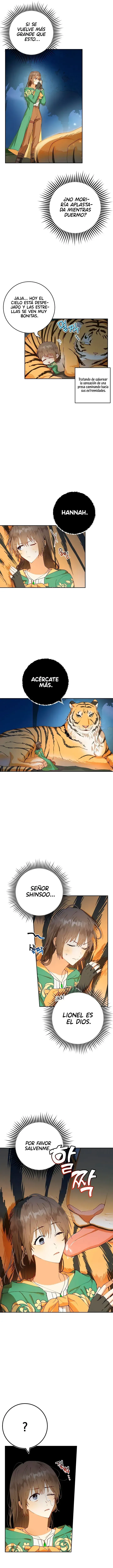 7 Amor Individualista