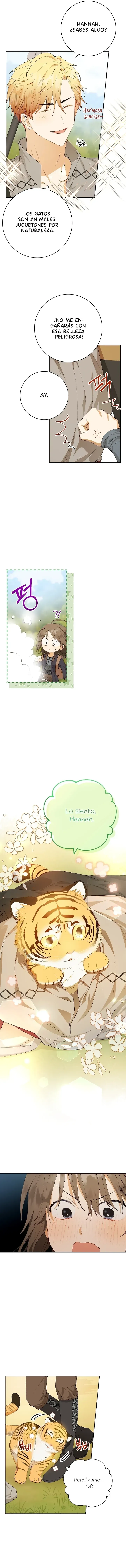 5 Amor Individualista