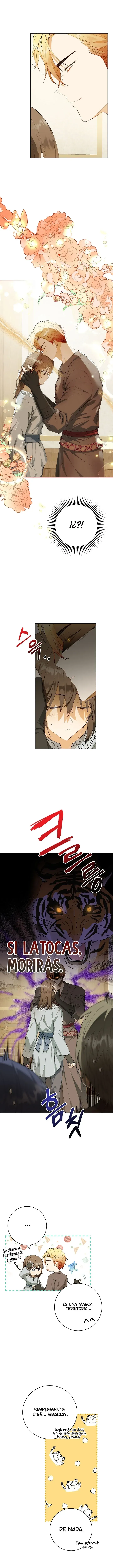 3 Amor Individualista