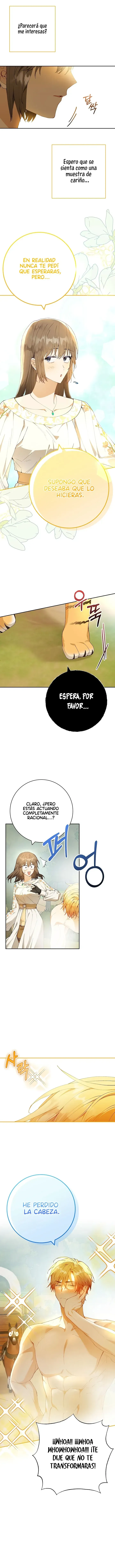 3 Amor Individualista