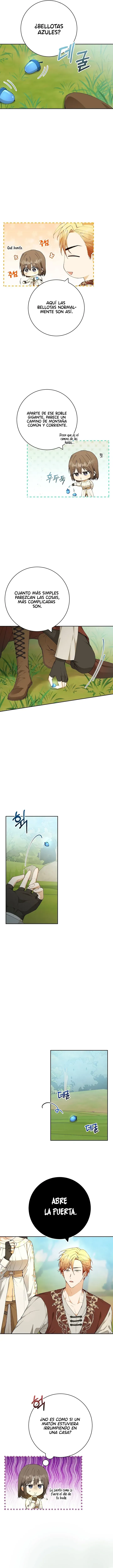 5 Amor Individualista