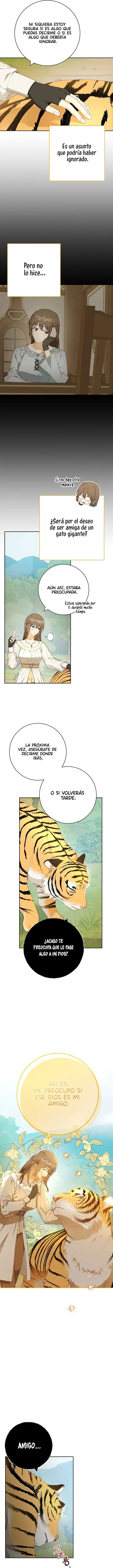 1 Amor Individualista