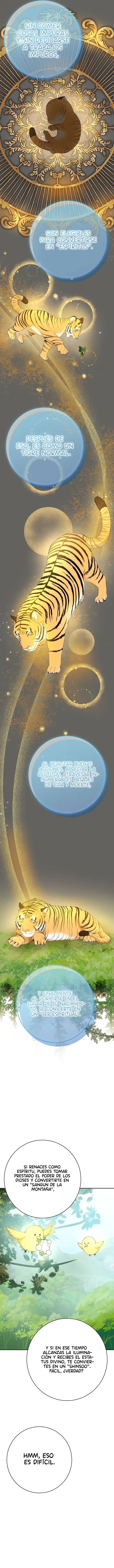 10 Amor Individualista