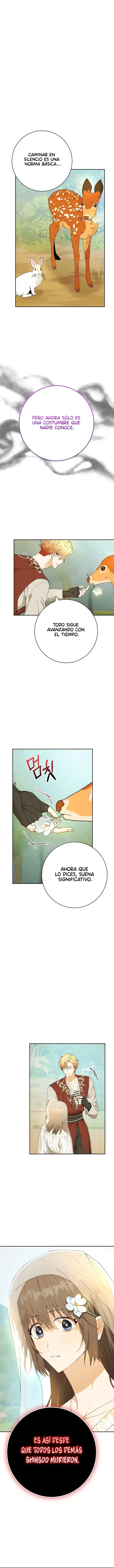 8 Amor Individualista