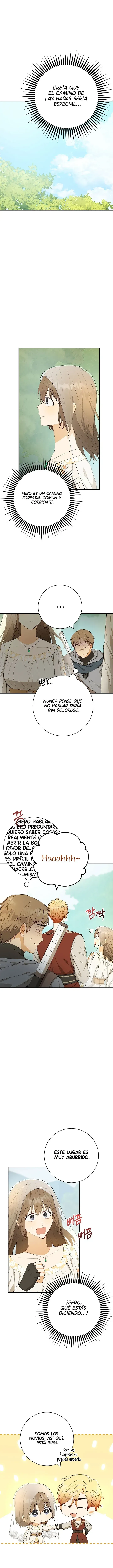 7 Amor Individualista