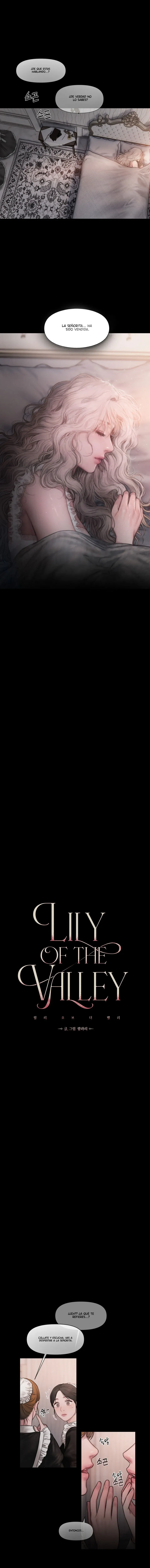 1 Lirio de los Valles