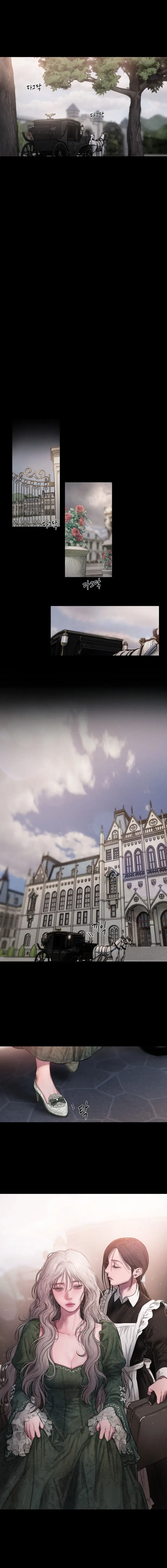 13 Lirio de los Valles