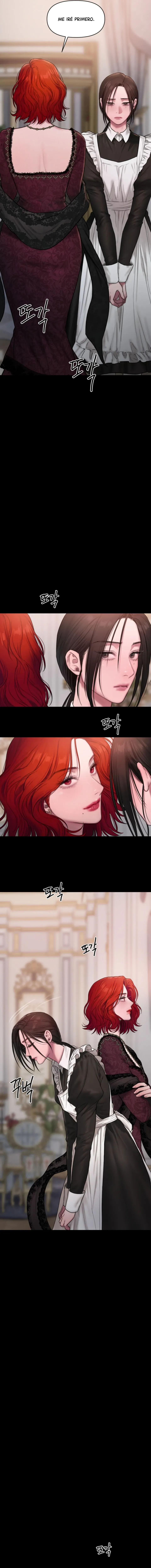 17 Lirio de los Valles