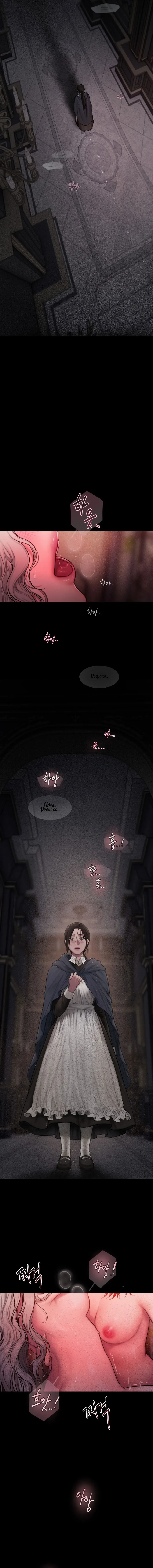 23 Lirio de los Valles