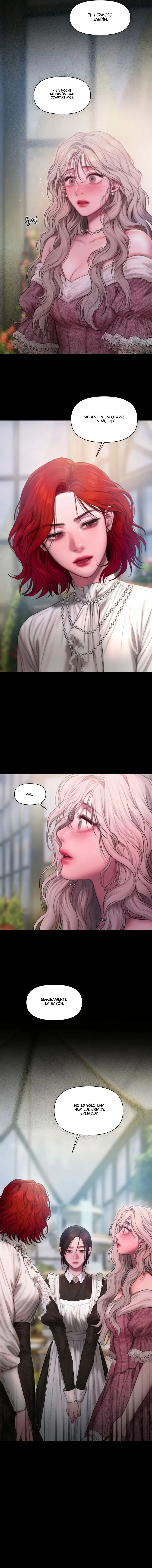 15 Lirio de los Valles