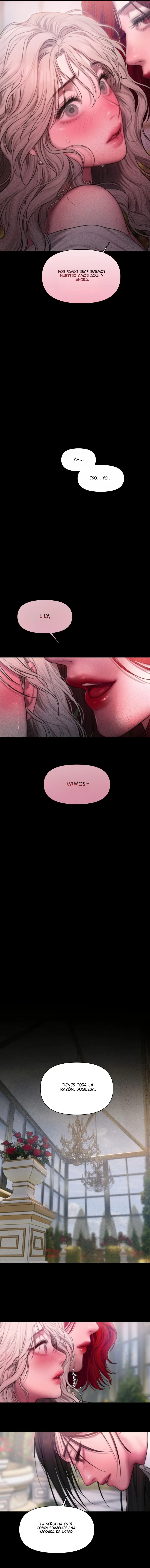 17 Lirio de los Valles