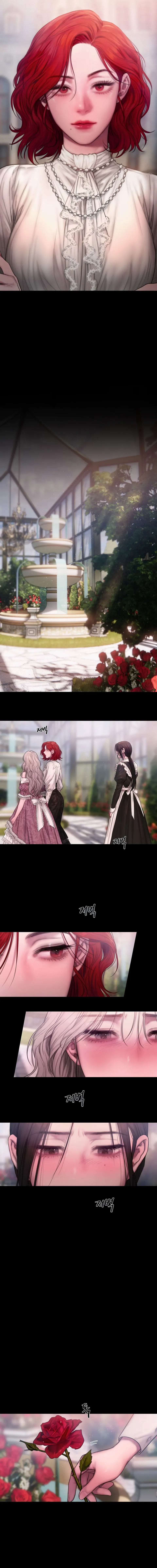 13 Lirio de los Valles