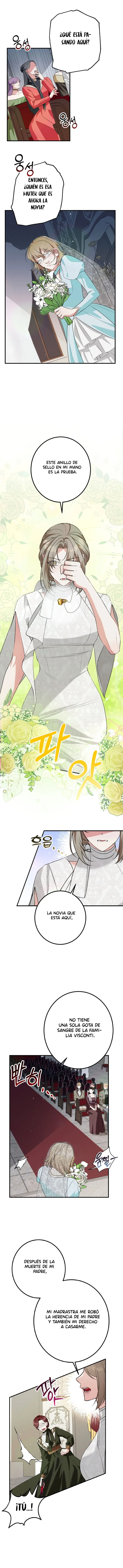 3 En lugar de Casarme, Prefiero Declararme en Bancarrota