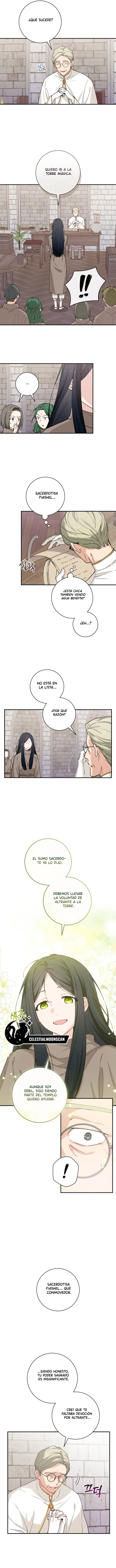 8 La Dama que Devoró al Mago