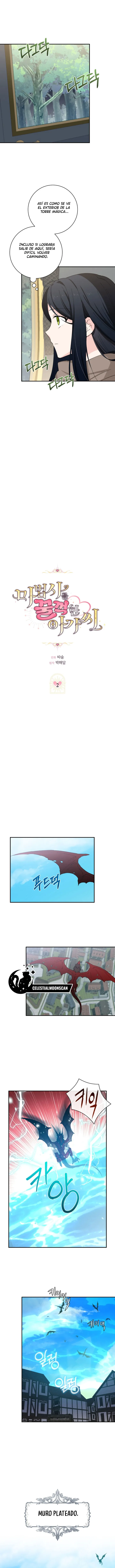 6 La Dama que Devoró al Mago