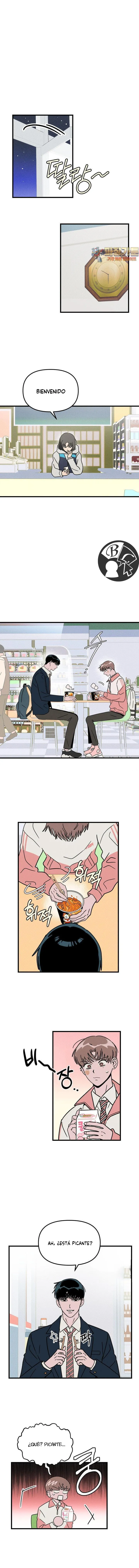 8 Confesión desde el principio